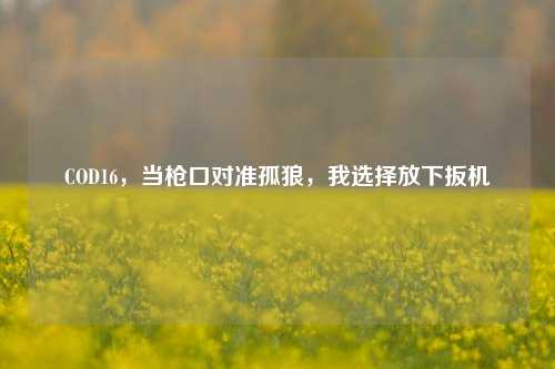 COD16，当枪口对准孤狼，我选择放下扳机