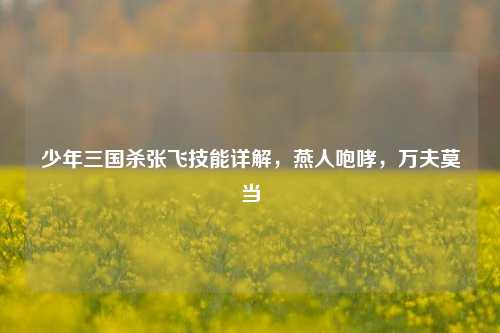 少年三国杀张飞技能详解，燕人咆哮，万夫莫当