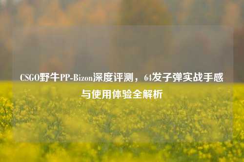 CSGO野牛PP-Bizon深度评测，64发子弹实战手感与使用体验全解析
