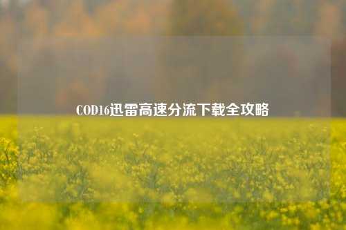 COD16迅雷高速分流下载全攻略