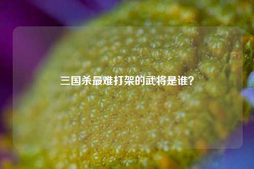 三国杀最难打架的武将是谁？