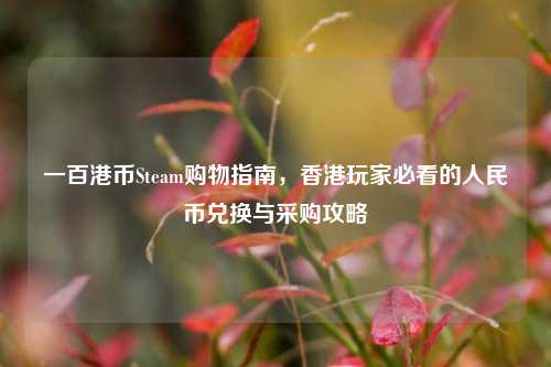 一百港币Steam购物指南，香港玩家必看的人民币兑换与采购攻略