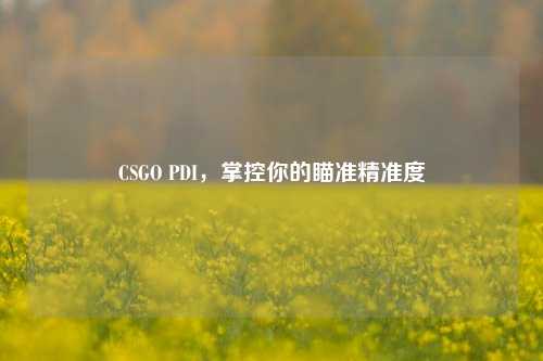 CSGO PDI，掌控你的瞄准精准度