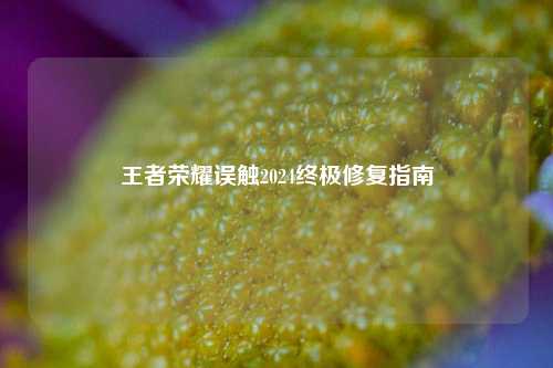 王者荣耀误触2024终极修复指南