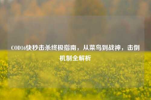 COD16快秒击杀终极指南，从菜鸟到战神，击倒机制全解析