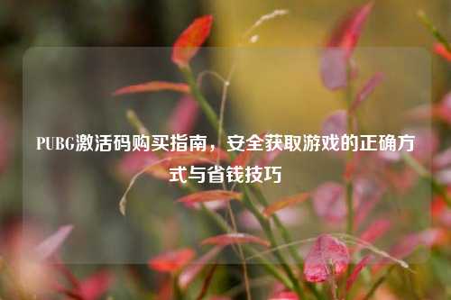 PUBG激活码购买指南，安全获取游戏的正确方式与省钱技巧