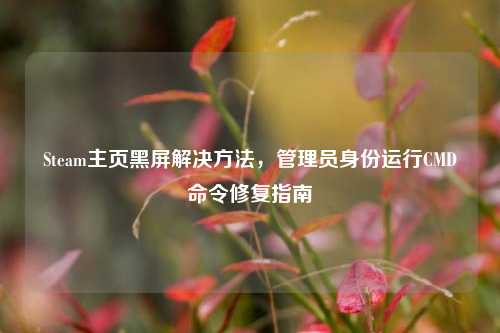 Steam主页黑屏解决方法，管理员身份运行CMD命令修复指南