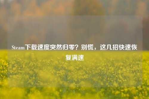 Steam下载速度突然归零？别慌，这几招快速恢复满速