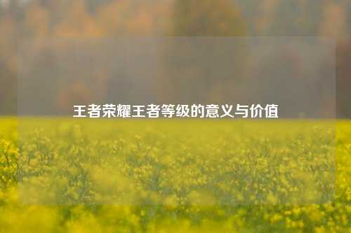 王者荣耀王者等级的意义与价值