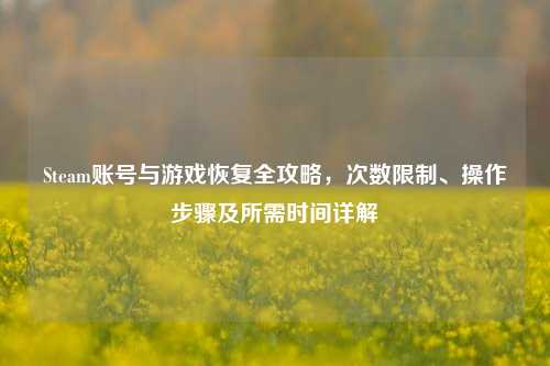 Steam账号与游戏恢复全攻略，次数限制、操作步骤及所需时间详解