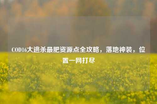 COD16大逃杀最肥资源点全攻略，落地神装，位置一网打尽
