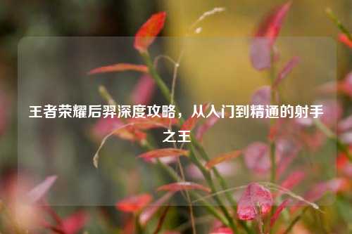 王者荣耀后羿深度攻略，从入门到精通的射手之王