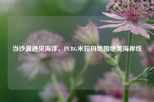 当沙漠遇见海洋，PUBG米拉玛地图绝美海岸线