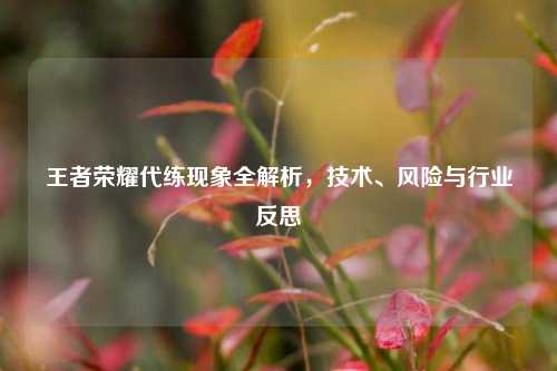 王者荣耀代练现象全解析，技术、风险与行业反思