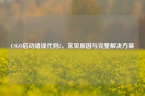 CSGO启动错误代码2，常见原因与完整解决方案