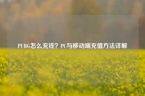 PUBG怎么充钱？PC与移动端充值方法详解