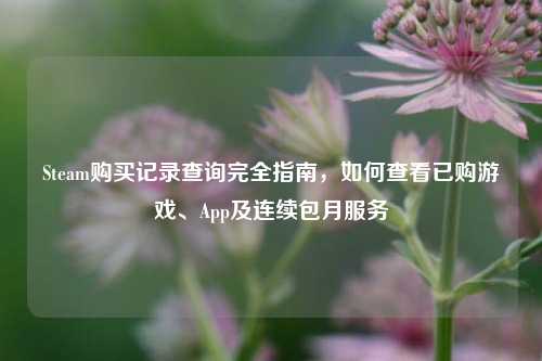 Steam购买记录查询完全指南，如何查看已购游戏、App及连续包月服务