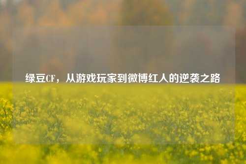 绿豆CF，从游戏玩家到微博红人的逆袭之路