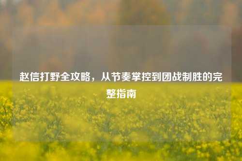 赵信打野全攻略，从节奏掌控到团战制胜的完整指南
