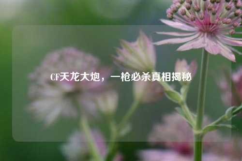 CF天龙大炮，一枪必杀真相揭秘