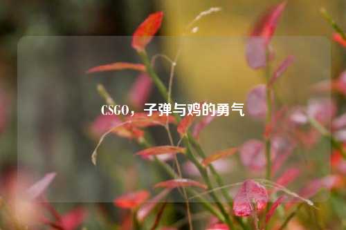 CSGO，子弹与鸡的勇气