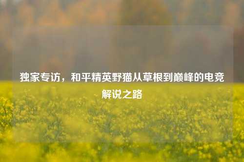独家专访，和平精英野猫从草根到巅峰的电竞解说之路