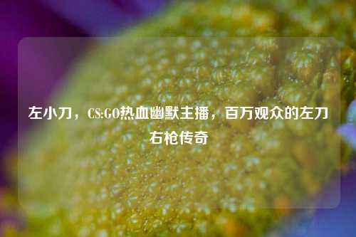 左小刀，CS:GO热血幽默主播，百万观众的左刀右枪传奇