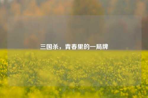 三国杀，青春里的一局牌