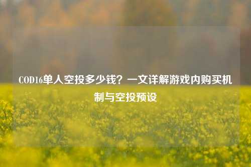 COD16单人空投多少钱？一文详解游戏内购买机制与空投预设