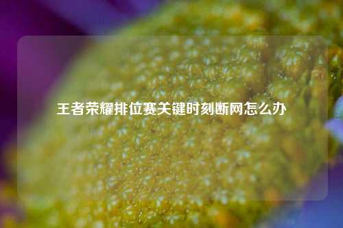 王者荣耀排位赛关键时刻断网怎么办