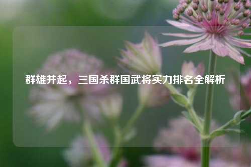 群雄并起，三国杀群国武将实力排名全解析