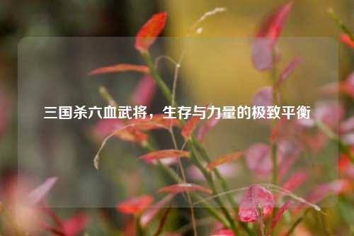 三国杀六血武将，生存与力量的极致平衡