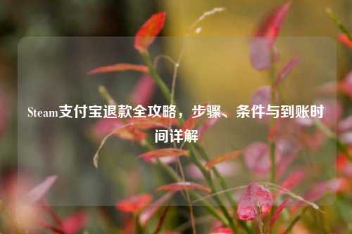 Steam支付宝退款全攻略，步骤、条件与到账时间详解