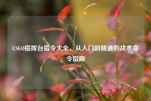 CSGO指挥台指令大全，从入门到精通的战术命令指南