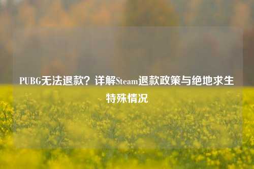 PUBG无法退款？详解Steam退款政策与绝地求生特殊情况