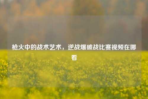 枪火中的战术艺术，逆战爆破战比赛视频在哪看