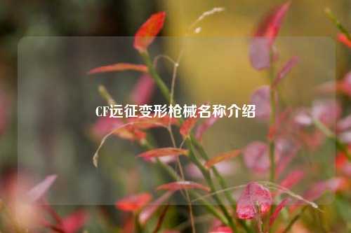 CF远征变形枪械名称介绍