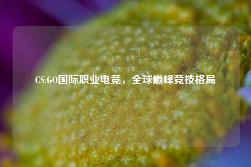 CS:GO国际职业电竞，全球巅峰竞技格局