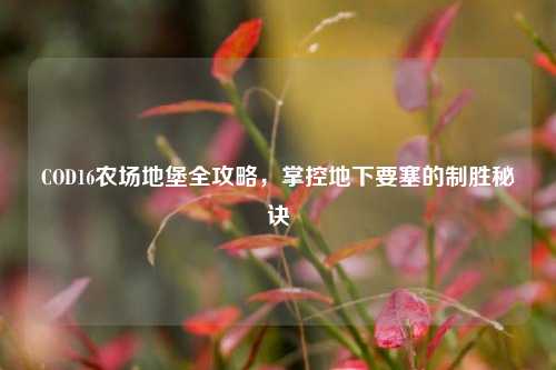 COD16农场地堡全攻略，掌控地下要塞的制胜秘诀