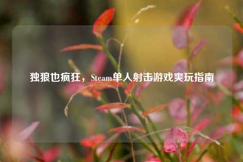 独狼也疯狂，Steam单人射击游戏爽玩指南