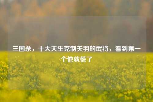 三国杀，十大天生克制关羽的武将，看到第一个他就慌了