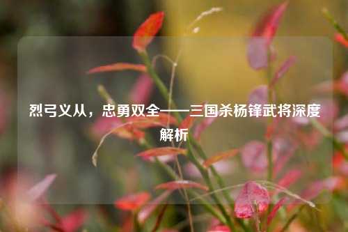 烈弓义从，忠勇双全——三国杀杨锋武将深度解析