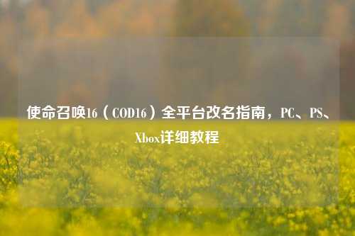 使命召唤16（COD16）全平台改名指南，PC、PS、Xbox详细教程