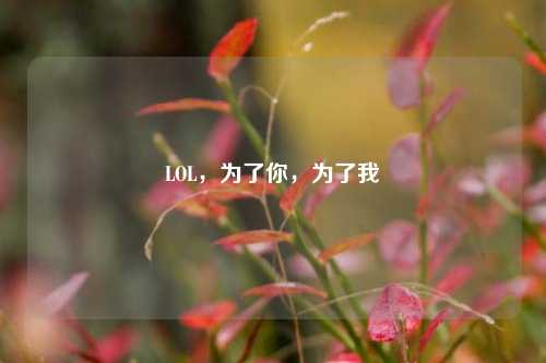 LOL，为了你，为了我