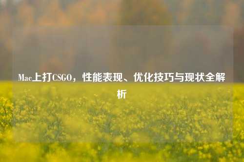 Mac上打CSGO，性能表现、优化技巧与现状全解析
