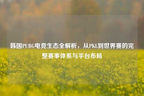 韩国PUBG电竞生态全解析，从PKL到世界赛的完整赛事体系与平台布局