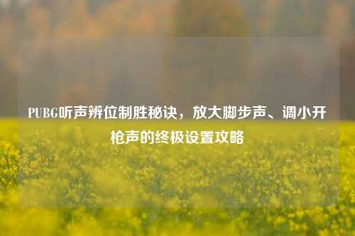 PUBG听声辨位制胜秘诀，放大脚步声、调小开枪声的终极设置攻略