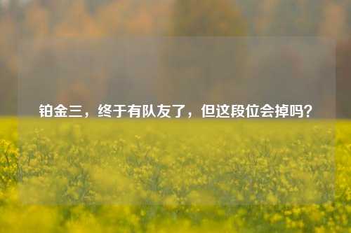铂金三，终于有队友了，但这段位会掉吗？
