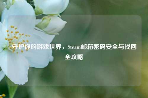 守护你的游戏世界，Steam邮箱密码安全与找回全攻略