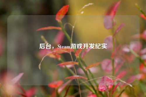 后台，Steam游戏开发纪实